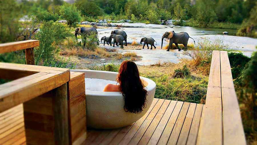 Luksusowe SPA, Londolozi Hotele Marzen Londolozi Private